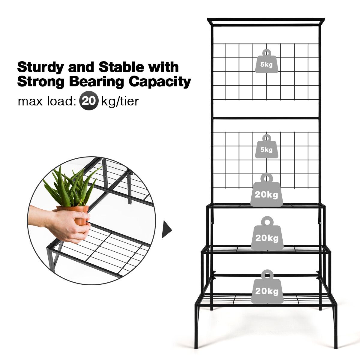 https://img.crazysales.com.au/products_pictures/265/265413_2194833_F.jpg