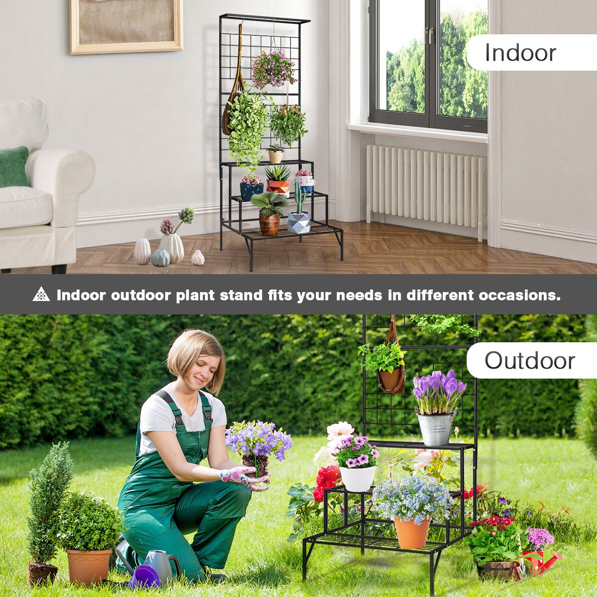 https://img.crazysales.com.au/products_pictures/265/265413_2194845_F.jpg