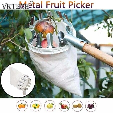 Metal fruit picker, garden tools, apple, peach, tall tree, fruit picker