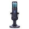 RGB Condenser Microphone Stand Gaming Live Streaming Professional Type-C USB Mic for PC iPhone iPad Android Smartphone