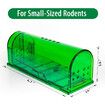 Mice and Rat Traps, Plastic Traps for Trapping and Releasing Rodents, Safe Around Children and Pets (2 Packs)