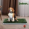 Pet Dog Grass Toilet Pee Pad Indoor Puppy Potty Training Mat Patch with Removable Tray