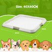 Pet Dog Pee Pad Holder Indoor Puppy Potty Training Tray Portable Trainer 60x60cm