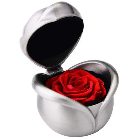 Eternal Rose, Preserved Roses, Never Wilted Flower, Valentine's Day Wedding Anniversary (Red Rose)