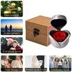 Eternal Rose, Preserved Roses, Never Wilted Flower, Valentine's Day Wedding Anniversary (Red Rose)