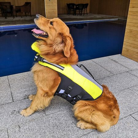 Size L 62-92cm Dog Life Jacket, Dog Life Vest with Superior Buoyancy Pet Swimming Safety Vest with Rescue Handle