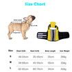 Size M 58-68cm Dog Life Jacket, Dog Life Vest with Superior Buoyancy Pet Swimming Safety Vest with Rescue Handle