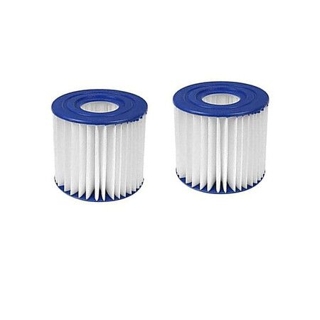 Type D Pool Filter Cartridge Replacement for Intex, Summer Waves Pool, RX-600, Easy to Install, 2 Packs