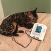 Veterinary Blood Pressure Monitor Dog/Cat/Pet Lamb Horse Electronic Sphygmomanometer With Software FDA cert.