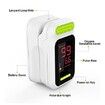 Fingertip Pulse Pulse Bar Graph Oximeter Blood Oxygen Saturation Monitor