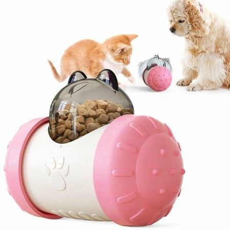 dog educational toys