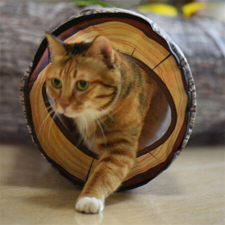 https://img.crazysales.com.au/products_pictures/266/266569_2211367_F.jpg