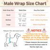 Dog Wrap Resuable Male S + 10X Diaper Booster Pads Disposable S
