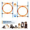 Pawise Dog Tunnel Agility Equipment Set Pet Obstacle Training Course Tunnel Pole