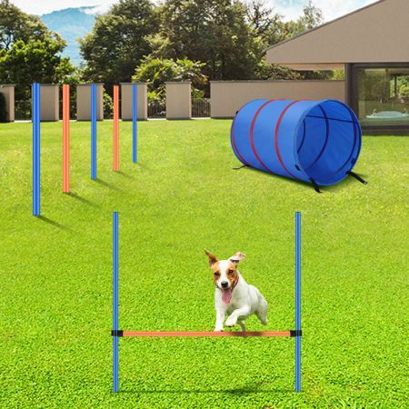 Pawise Dog Agility Equipment Set Pet Tunnel Obstacle Training Course Tunnel Pole