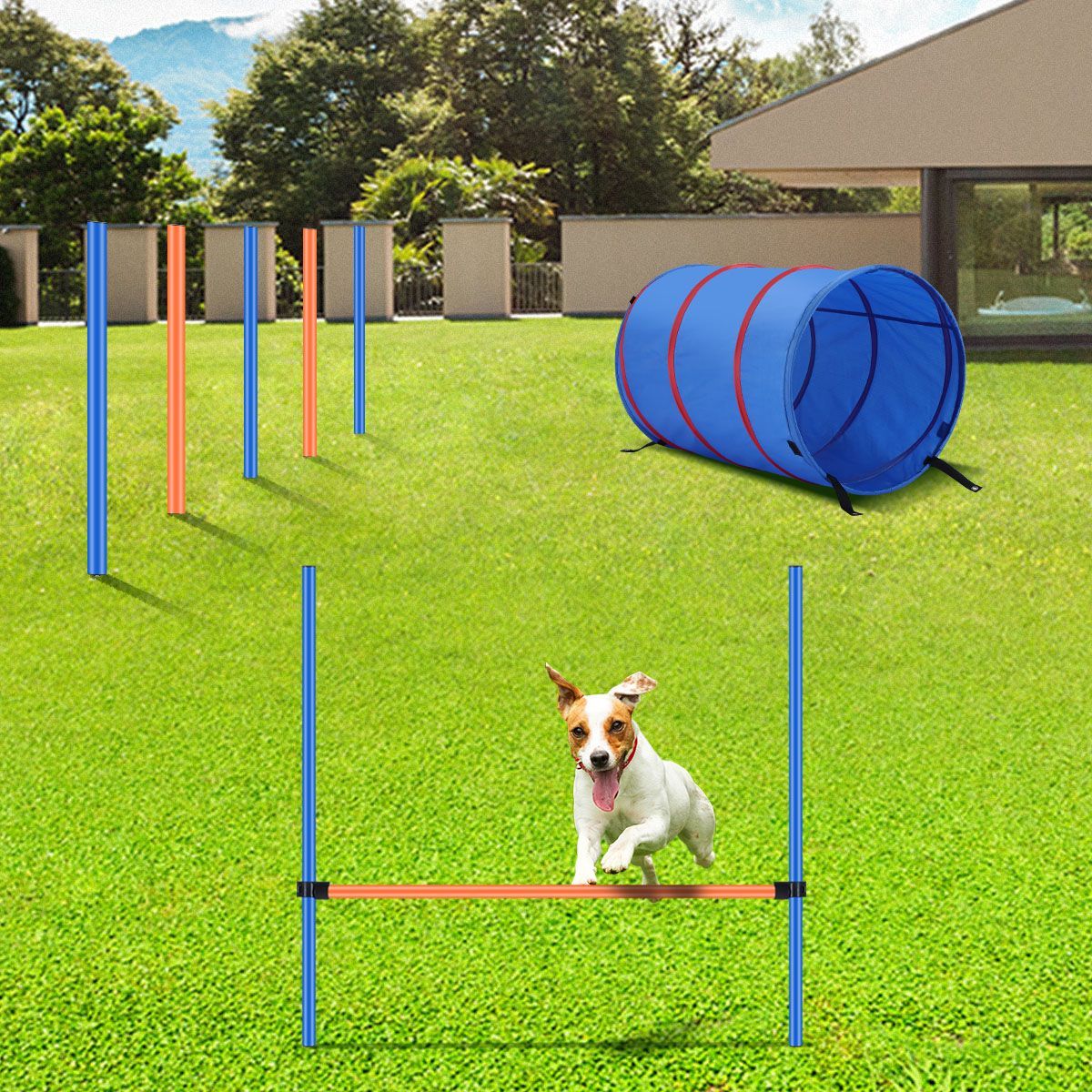 Pawise Dog Agility Equipment Set Pet Tunnel Obstacle Training Course Tunnel Pole