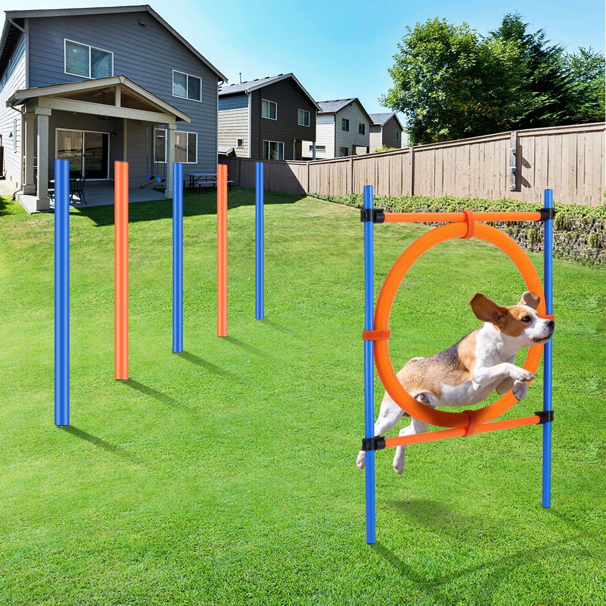 Pawise Dog Agility Equipment Set Pet Obstacle Training Course Tunnel Pole