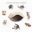 Portable Pet Carriers/Pet Crate Home Protector Outdoor Use Suitable For Little Cats