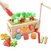 Wooden Educational Toys Gifts Montessori Toys Shape Sorter Toys Montessori Carrot Harvest and Worm Toy Play Set