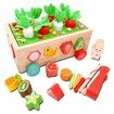 Wooden Educational Toys Gifts Montessori Toys Shape Sorter Toys Montessori Carrot Harvest and Worm Toy Play Set