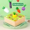 Wooden Farm Harvest Game Montessori Toy, Early Learning Toy 7 Sizes Vegetable or Fruits