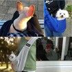 Pet Carrier for Dogs and Cats, Adjustable, Soft and Purse Design, Ideal for Pet for Outdoor Walks