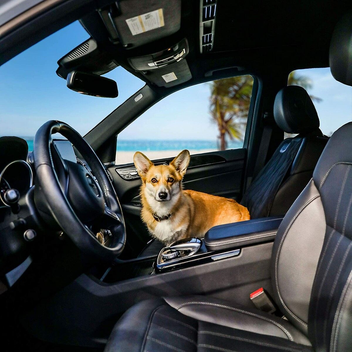 https://img.crazysales.com.au/products_pictures/267/267475_2222753_F.jpg