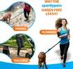 Hands Free Dog Leash for Medium and Large Dogs Training, Walking, Jogging and Running Your Pet