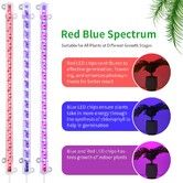 2 Strips Grow Light Four Heads Growing lamp Full Spectrum Dimmable Levels Led  Plant Lamp with Red Blue Lights