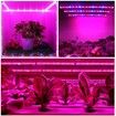 2 Strips Grow Light Four Heads Growing lamp Full Spectrum Dimmable Levels Led  Plant Lamp with Red Blue Lights