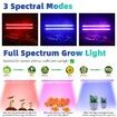 2 Strips Grow Light Four Heads Growing lamp Full Spectrum Dimmable Levels Led  Plant Lamp with Red Blue Lights