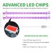 2 Strips Grow Light Four Heads Growing lamp Full Spectrum Dimmable Levels Led  Plant Lamp with Red Blue Lights