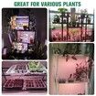 4 Strips Grow Light Four Heads Growing lamp, Full Spectrum Dimmable Levels Led Warm Light for Green House Hydroponics Succulent