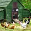 Petscene Automatic Chicken Coop Door Opener Kit LED Lights Timer Light Sensor Remote Waterproof