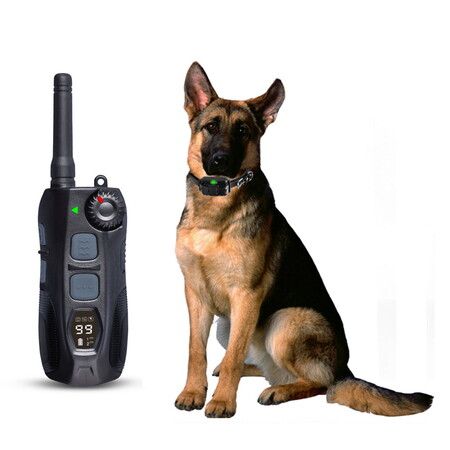 2000m Remote training COLLAR Shock with Remote Shock Flashing Beacon Lights Waterproof Rechargeable Dog Hunting With 2 collars