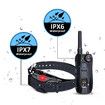 2000m Remote training COLLAR Shock with Remote Shock Flashing Beacon Lights Waterproof Rechargeable Dog Hunting With 2 collars