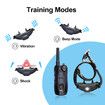 2000m Remote training COLLAR Shock with Remote Shock Flashing Beacon Lights Waterproof Rechargeable Dog Hunting With 2 collars