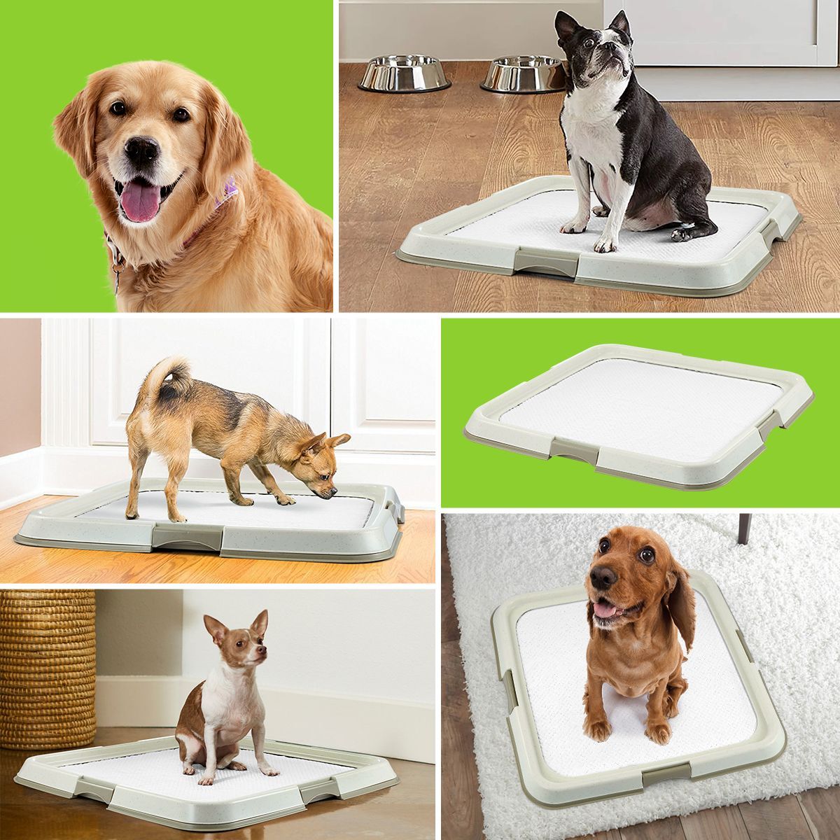 https://img.crazysales.com.au/products_pictures/2674/267457_2222471_F.jpg