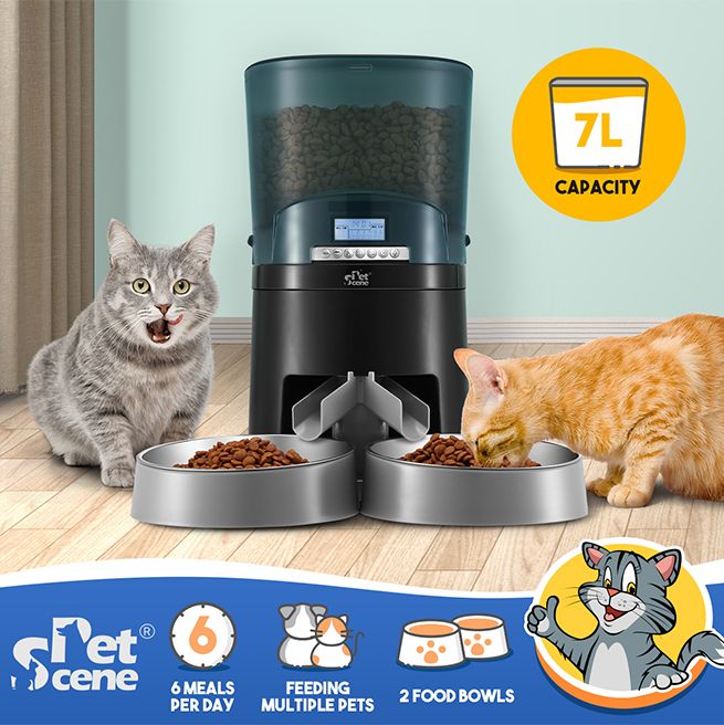 automatic pet feeder two cats