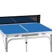 Centra Table Tennis Table Foldable Ping Pong Balls Bats Game Set Indoor Outdoor