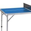 Centra Table Tennis Table Foldable Ping Pong Balls Bats Game Set Indoor Outdoor