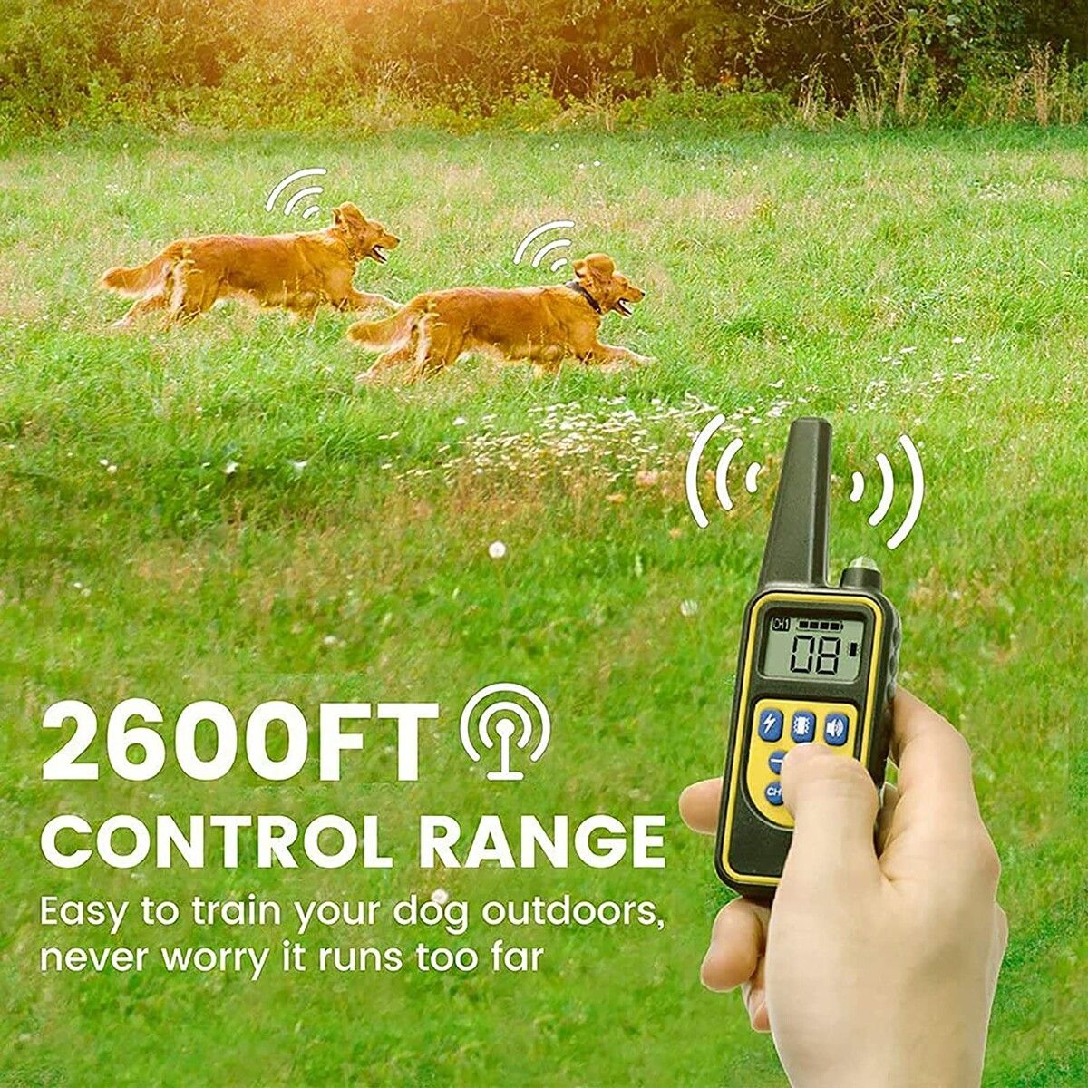 https://img.crazysales.com.au/products_pictures/269/269467_2244089_F.jpg