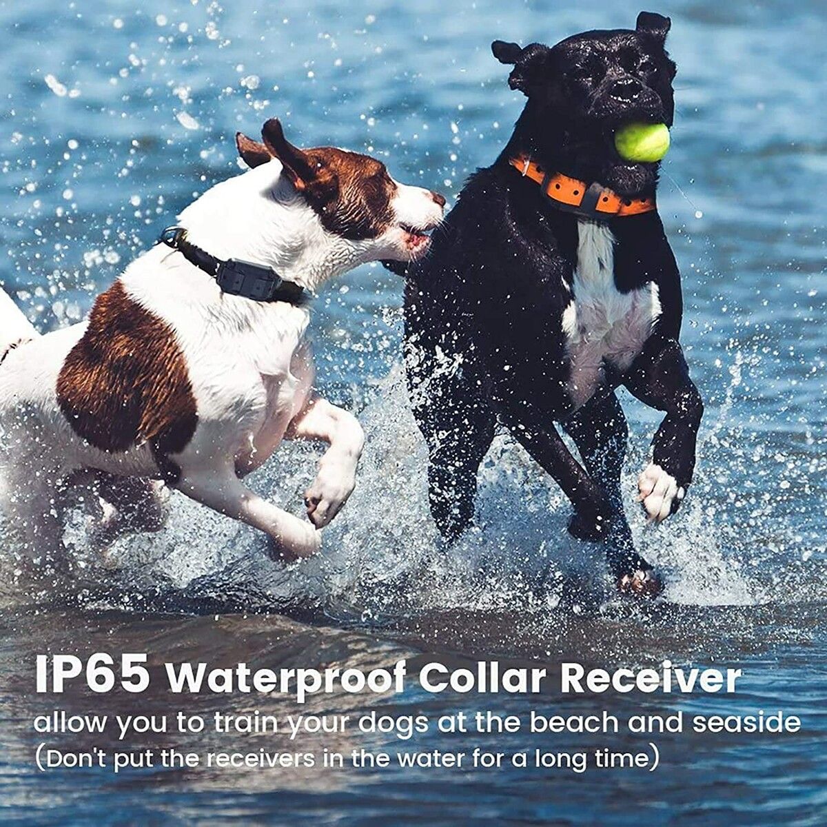 https://img.crazysales.com.au/products_pictures/269/269467_2244091_F.jpg