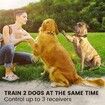 Dog Training Collar for 3 Dogs with 4 Training Modes for Medium and Large Breed Dogs