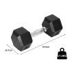 Centra Rubber Hex Dumbbell 17.5kg Home Gym Exercise Weight Fitness Training