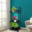 Levede Plant Stand 3 Tiers Outdoor Indoor Metal Flower Pots Rack Garden Shelf