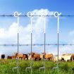 20x Fence Pigtail Posts Steel Electric Graze Farming Post Tape Fencing Anti-rust