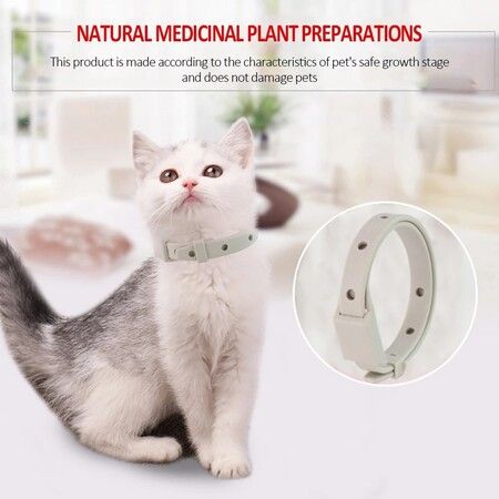 Adjustable Cats Necklet Accessories Anti Mosquito Flea Collar Insect Repellent Long Term Protection (4pack)