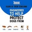 Flea and Tick Collar for Dogs, 8-Month Flea and Tick Collar for Large Dogs Over 18 Pounds 65cm(Random Style)