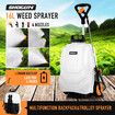 Weed Sprayer Garden Trolley Backpack Battery Powered Electric Lawn Pump Spraying Portable Lithium 16L